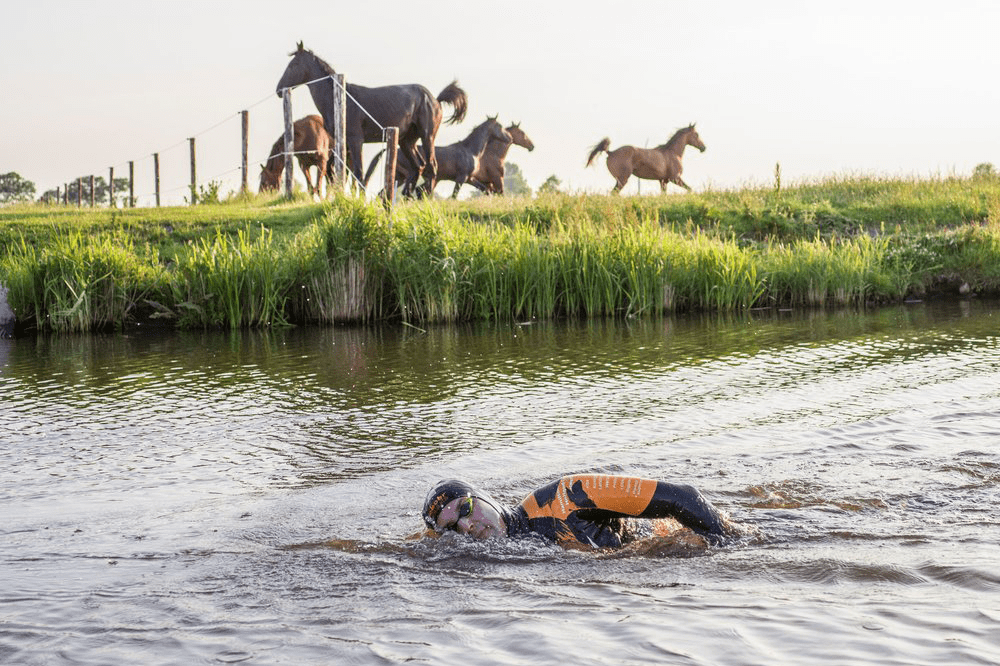 Foto: Raymond van Olphen